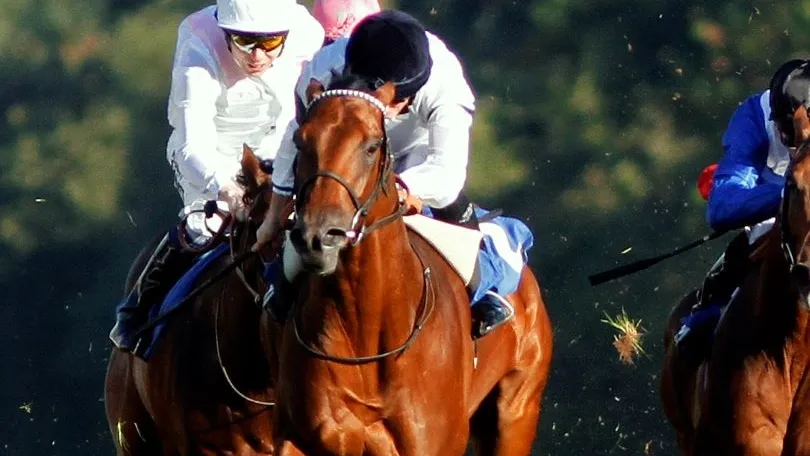  Projection (30th September 2015) - winner of The Bathwick Tyres Conditions Stakes at Salisbury, saddled by Roger Charlton and ridden by Ryan Moore. 