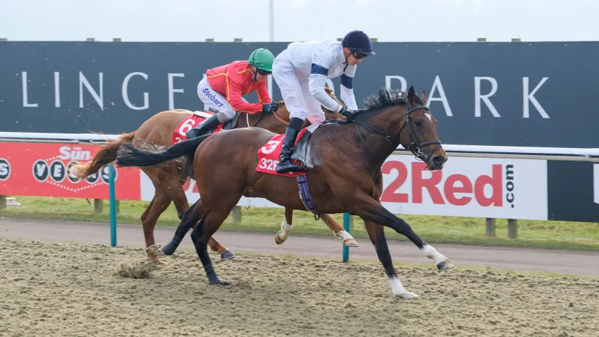 Headway (3rd March 2018) - winner of The 32Red Spring Cup Stakes (Listed) at Lingfield, trained by William Haggas & ridden by James Doyle