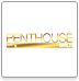 Penthouse Gold