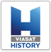 Viasat History