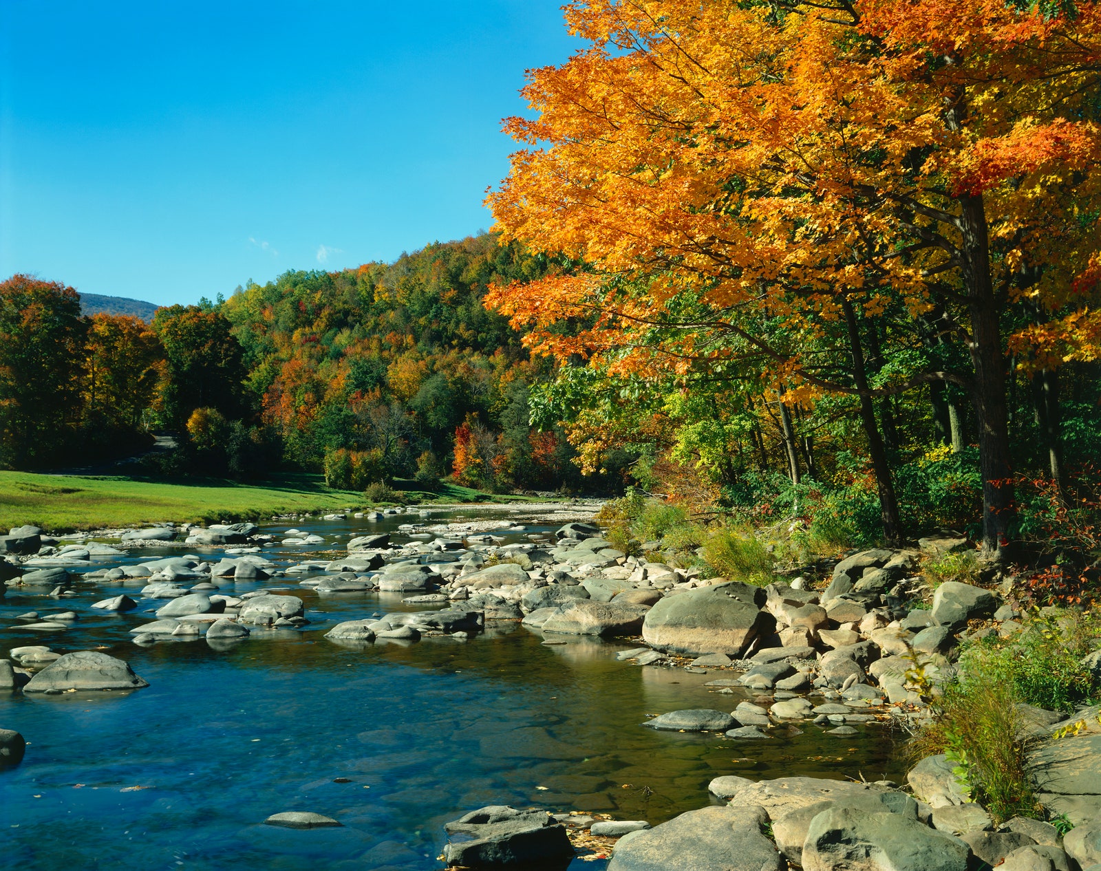 Riverbank in the Catskills of New York with the trees on the leaves amidst changing for fall.