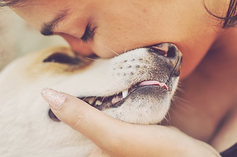 We tend to blame ourselves after our pets pass away and dwell on what we didn't do: This is a painful rut, as psychologists say. Be a little kind to yourself during these times. 