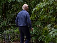 Hollywood Celebrities Mock Joe Biden Wandering Off into the Amazon Rainforest: ‘He was Never Seen