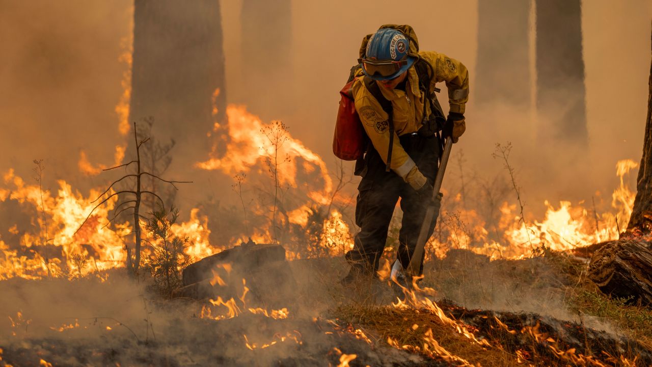 CHICO, CALIFORNIA - JULY 28: Flames quickly grow as firefighters set a backfire on the eastern front of the Park Fire, which has grown to 360,141 acres and is 12 percent contained, on July 28, 2024 near Chico, California. Strong winds and dried vegetation fueled the fire that exploded 70,000 acres in the first 24 hours after a man allegedly pushed a burning car into a ravine to intentionally set the blaze. In 2018, more than 18,000 structures were destroyed and 85 people killed in the nearby town of Paradise when the Camp Fire entrapped thousand of people and became the deadliest and most destructive fire in California history.  (Photo by David McNew/Getty Images)