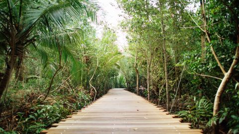 singapore pulau ubin walkway asia treasures