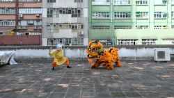 lion dance homepage wide