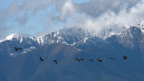 Hiking-in-Georgia---Caucasus-mountains---VANO-SHLAMOV-AFP-Getty-Images