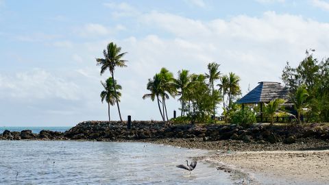 fiji tourism bubble