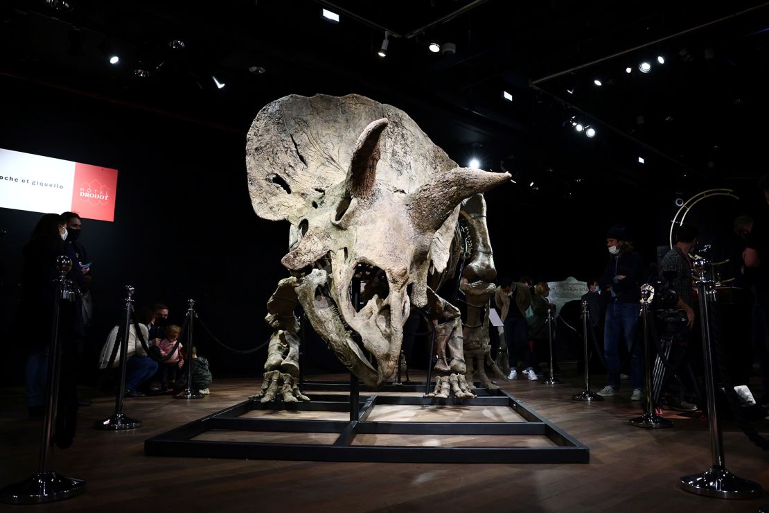 Visitors look at the skeleton of a gigantic Triceratops over 66 million years old, named "<a href="https://www.cnn.com/style/article/worlds-largest-triceratops-auction-scn/index.html">Big John</a>," on display before its sale at Drouot auction house in Paris in October 2021.