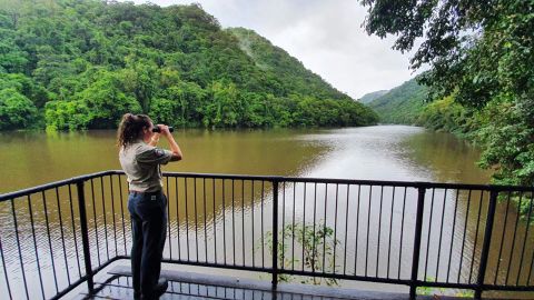 From Queensland Environment/Twitter: "Our team is now in place at Lake Placid. The search for the crocodile responsible for the attack is now underway."