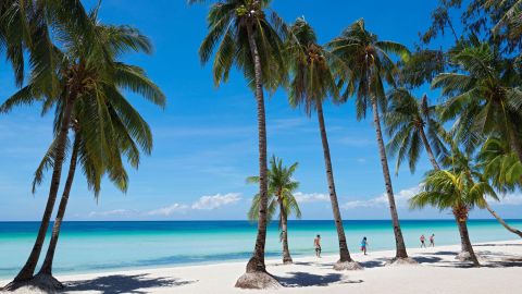 2CF228Y A group of people walking next to coconut trees along the clean White Beach of Boracay Island, Aklan, Visayas, Philippines, at a sunny day.