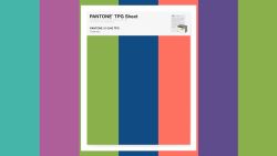 Pantone color of year 23 split DV