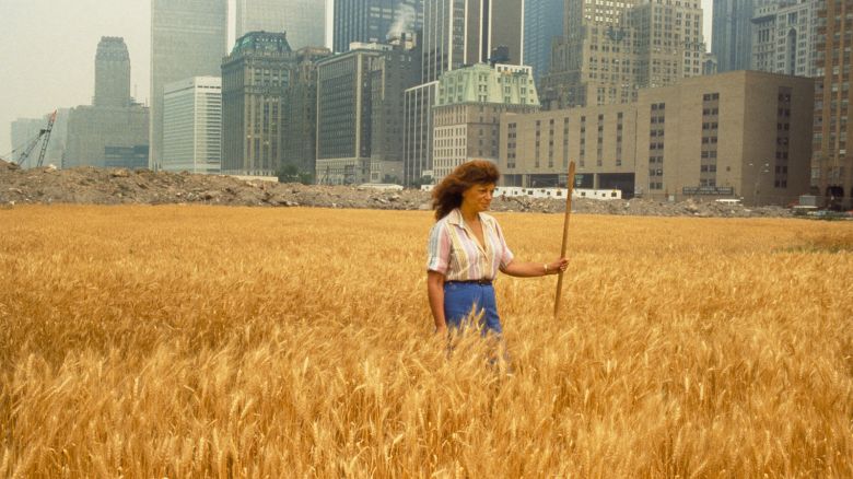 Agnes Denes, Wheatfield – A Confrontation: Battery Park Landfill, Lower Manhattan – with the Agnes Denes in the Field, 1982