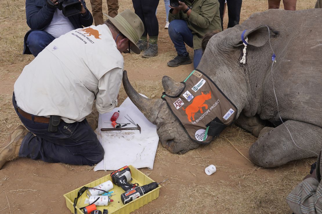 Researchers hope the initiative will deter poachers.