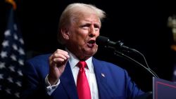 Republican presidential nominee former President Donald Trump speaks at a campaign rally in Asheville, N.C., Wednesday, Aug. 14, 2024. (AP Photo/Matt Rourke)