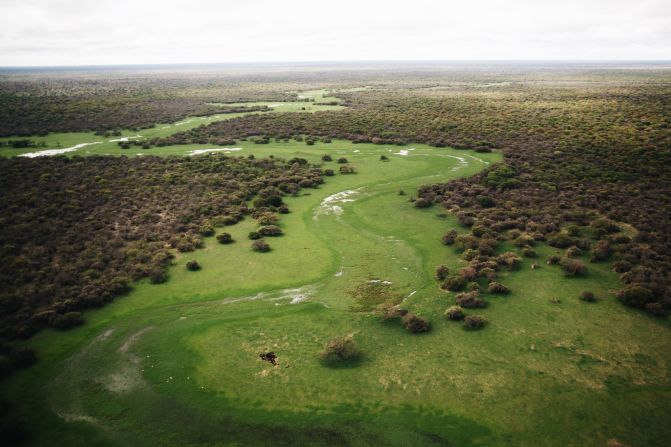 The routes vary between species, but generally they merge in the south of the country, <a href="https://www.africanparks.org/the-parks/badingilo-boma" target="_blank">around Badingilo National Park</a> during the wet season for breeding, before migrating north and east towards Boma National Park and the Sudd, and into Gambella National Park in Ethiopia.