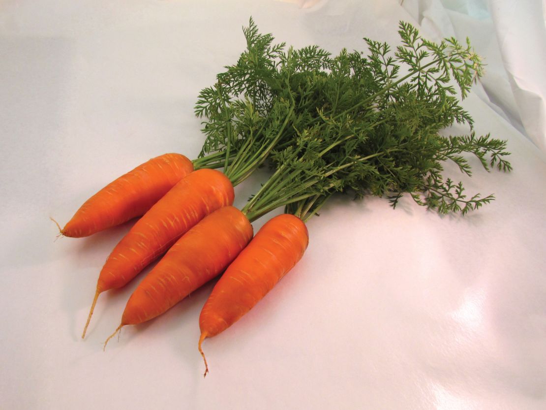 CI_NGB_Sakata-Carrot_Hercules.jpeg