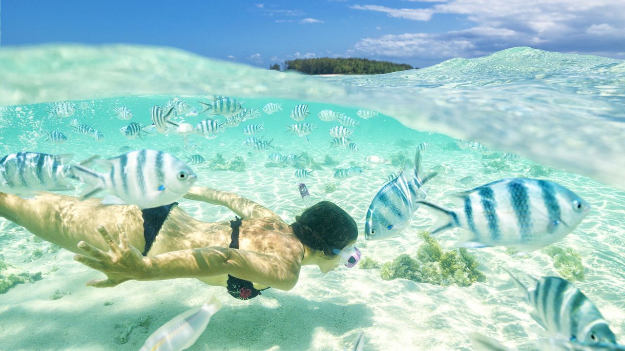 Woman admiring tropical fish snorkeling on coral reef, Zanzibar, Tanzania