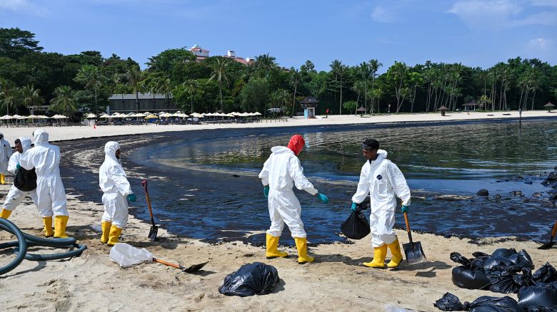 Workers clear the oil slick in plastic bags on Sentosa island's Tanjong Beach in Singapore on June 16, 2024.