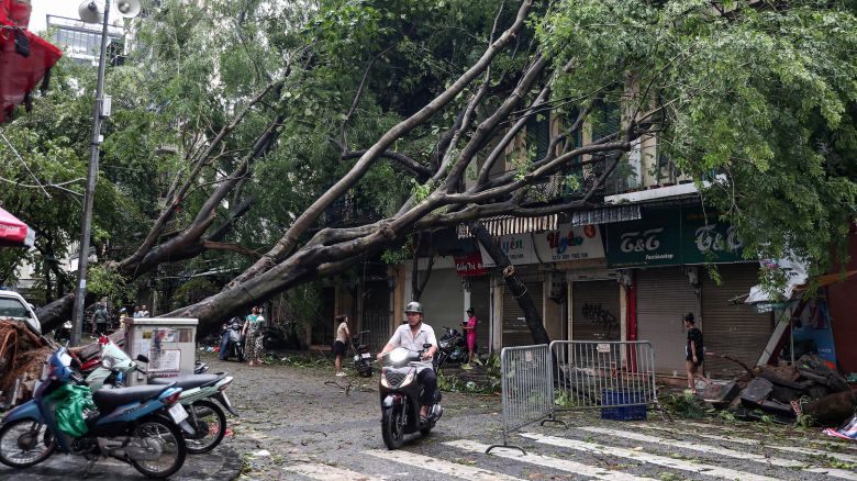 A man rides his motorbike past fallen trees on a street after Super Typhoon Yagi hit Hanoi, Vietnam on September 8, 2024. Super Typhoon Yagi uproots thousands of trees, sweeps ships and boats out to sea and rips roofs off houses in northern Vietnam, after leaving a trail of destruction in southern China and the Philippines.