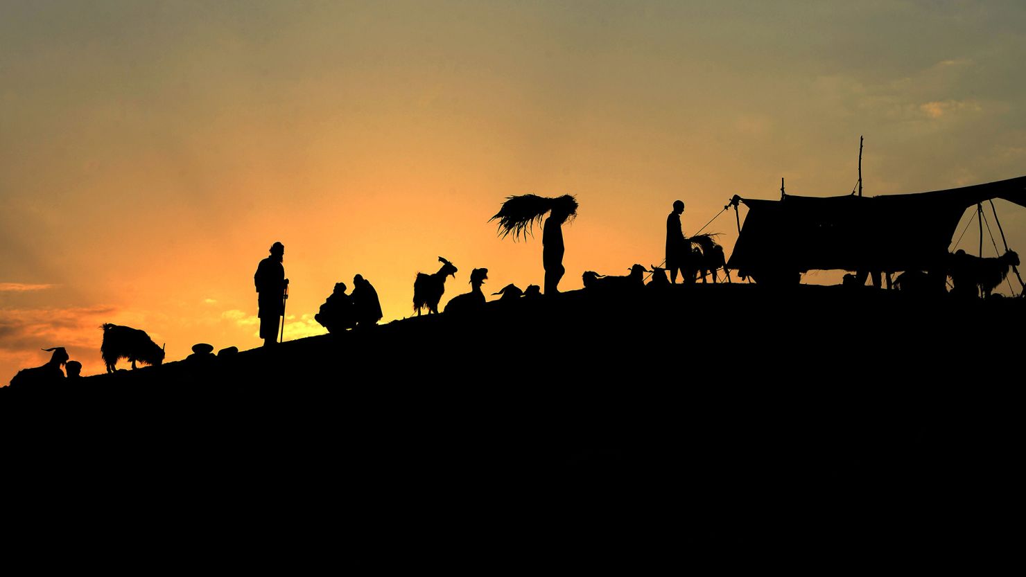 Afghan men shop for livestock at a market ahead of the Eid al-Adha festival, on the outskirts of Jalalabad, Afghanistan, on August 29, 2017.