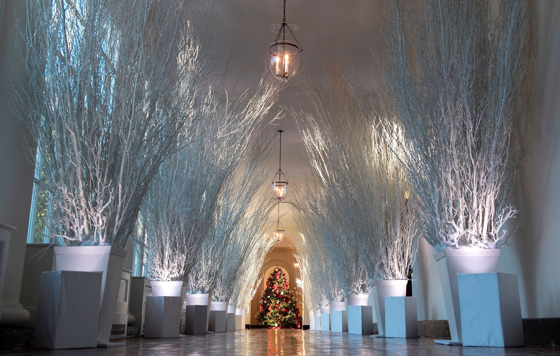 <strong>2017:</strong> Trump's shadowy white branches were an unconventional, minimalist approach to Christmas decor.