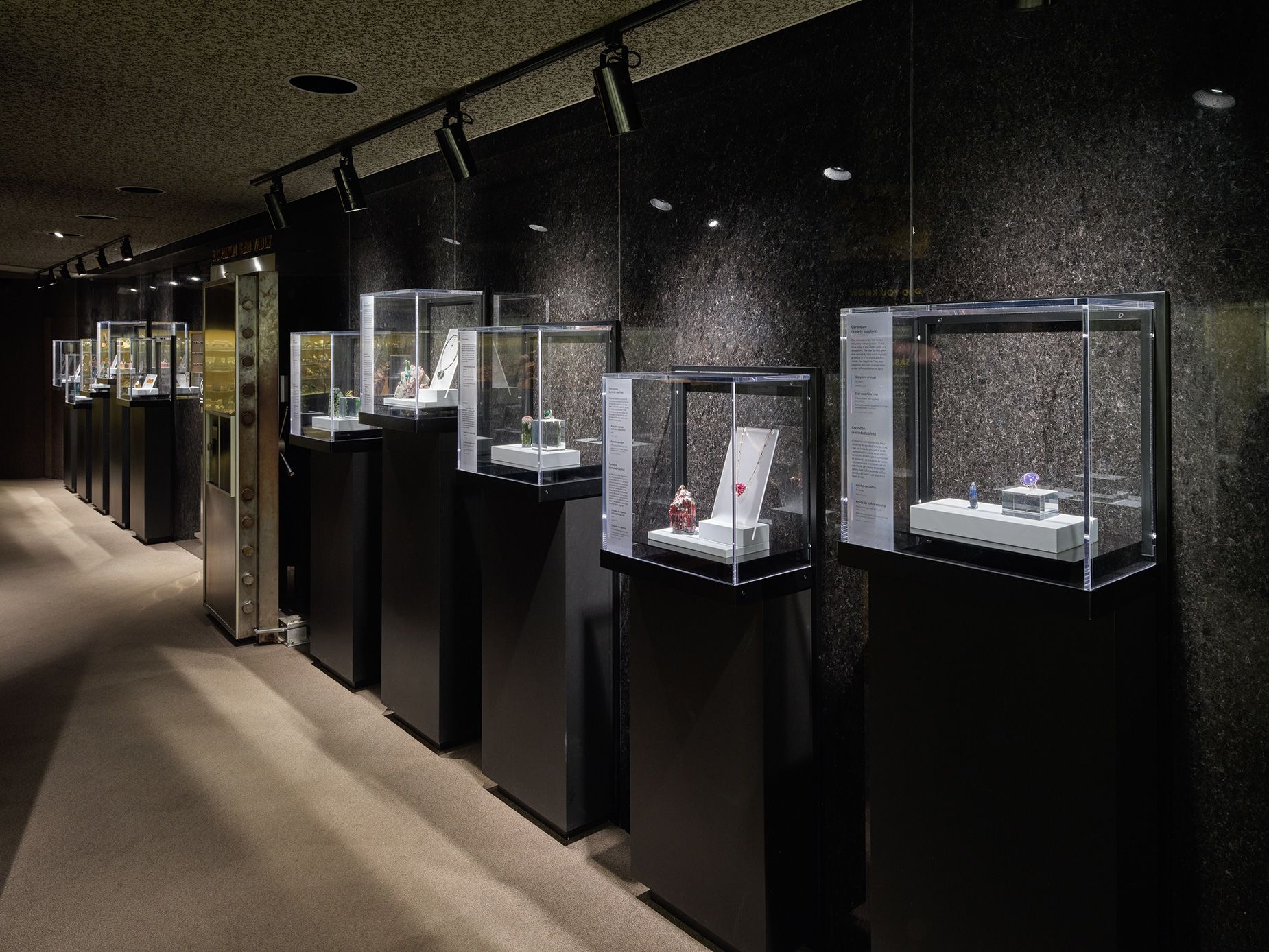 The door to the Natural History Museum's Hixon Gem Vault, flanked by other jewels on display.