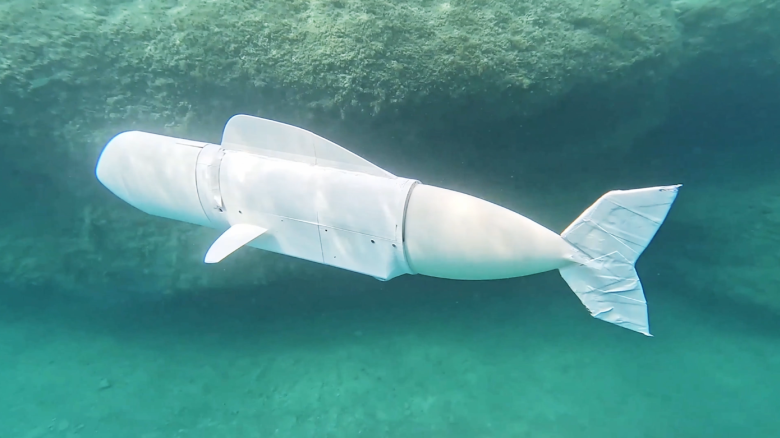 A robot fish designed and developed by students at ETH Zurich