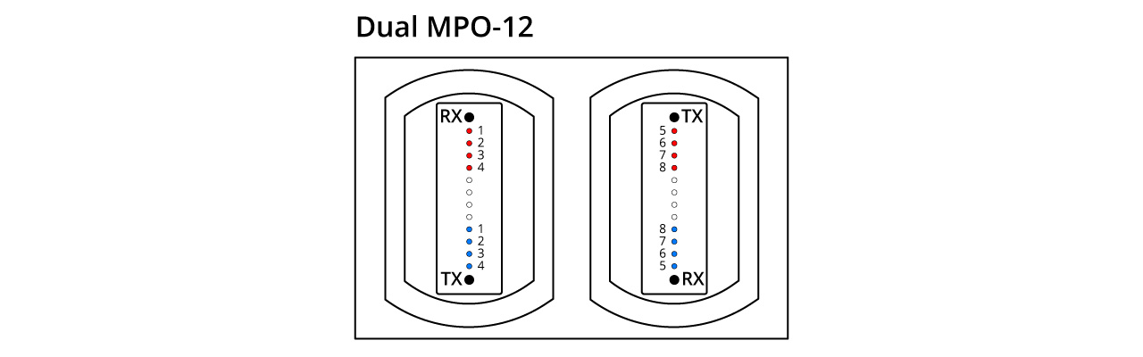 Dual MPO-12