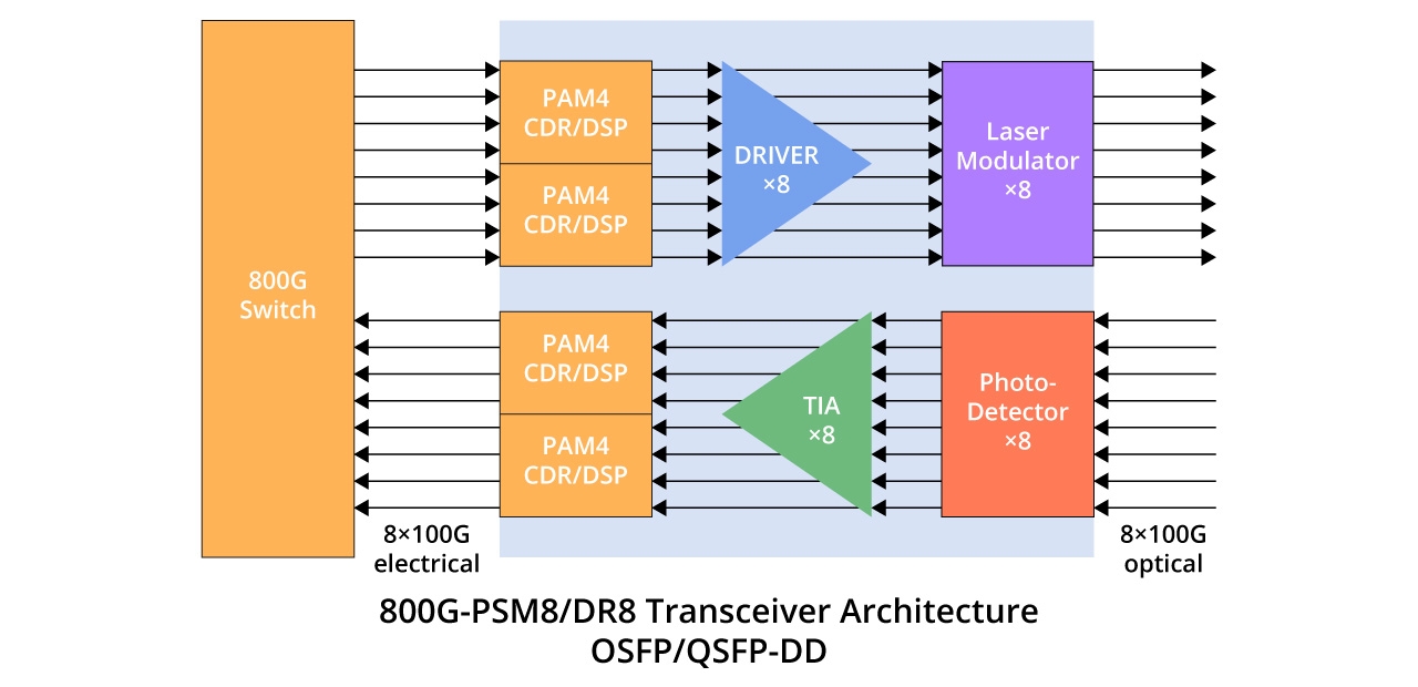 800G-PSM8/DR8 Transceiver Architecture