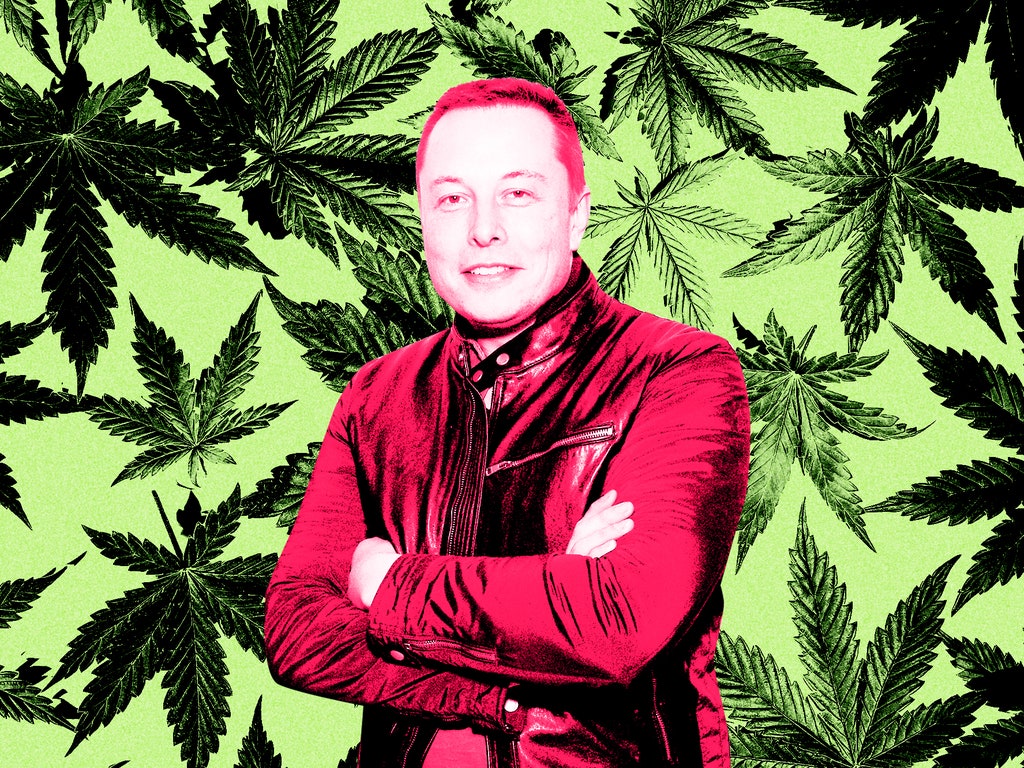 Elon Musk Smoked a Blunt With Joe Rogan Because We Live in a Dystopia