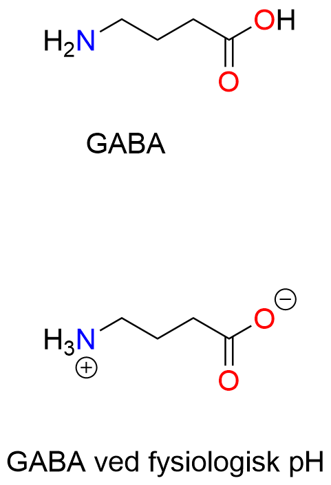 GABA