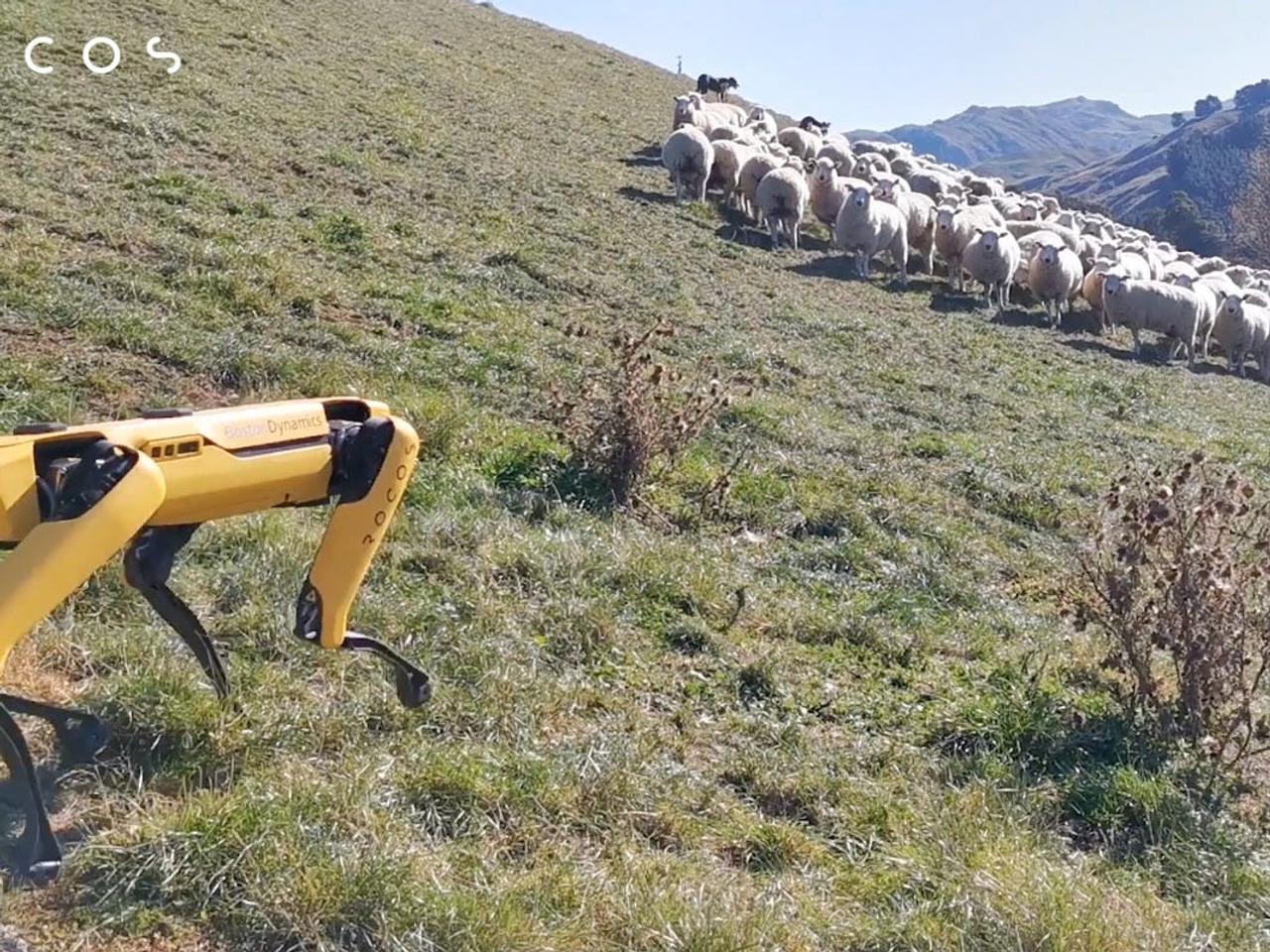 ボストンダイナミクスの犬型ロボット｢スポット｣