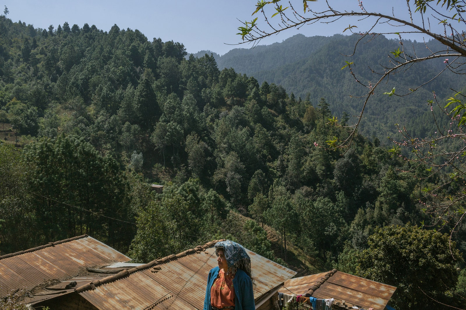 A woman is seen outside her house located in front of a reforested mountain.