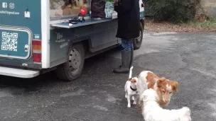 Epicerie ambulante "Lokalité"/ Véronique Macary