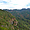 Vue sur la forêt tropicale depuis un mirador