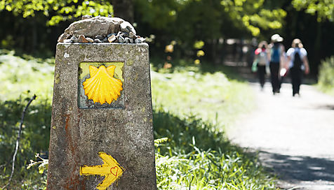 Île de la Réunion : 4 randonnées pour tous