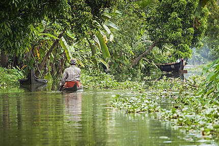 Kerala, au fil de l’eau