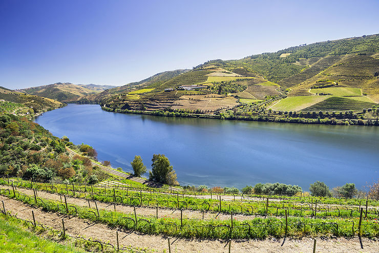 Vallée du Douro, autour de Pinhão et São Cristovão do Douro