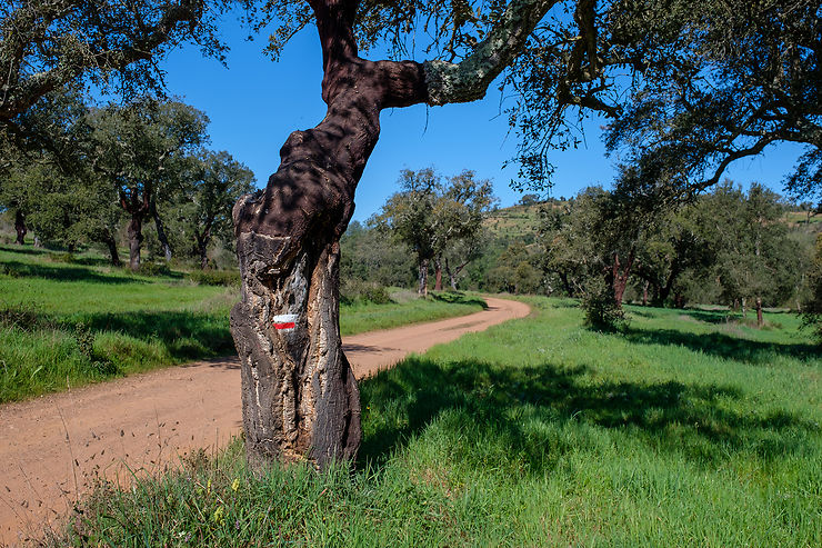 Rota Vicentina, chemin historique