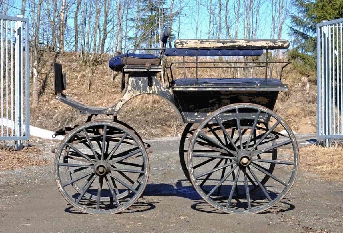 Wagonette