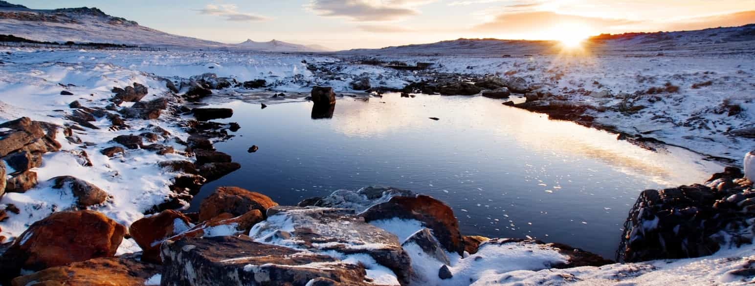 Falklandsøyene