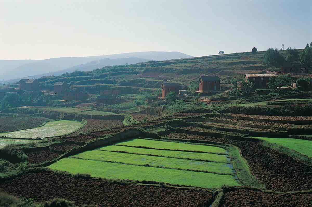 Madagaskar, landskap