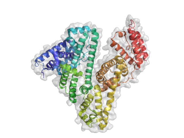 Humant serumalbumin