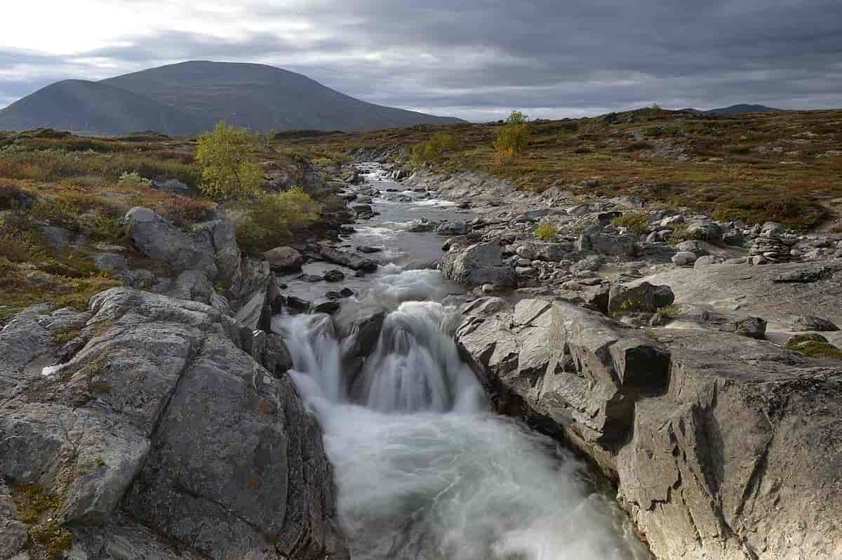 Dovrefjell-Sunndalsøra nasjonalpark vart etablert i 2002.