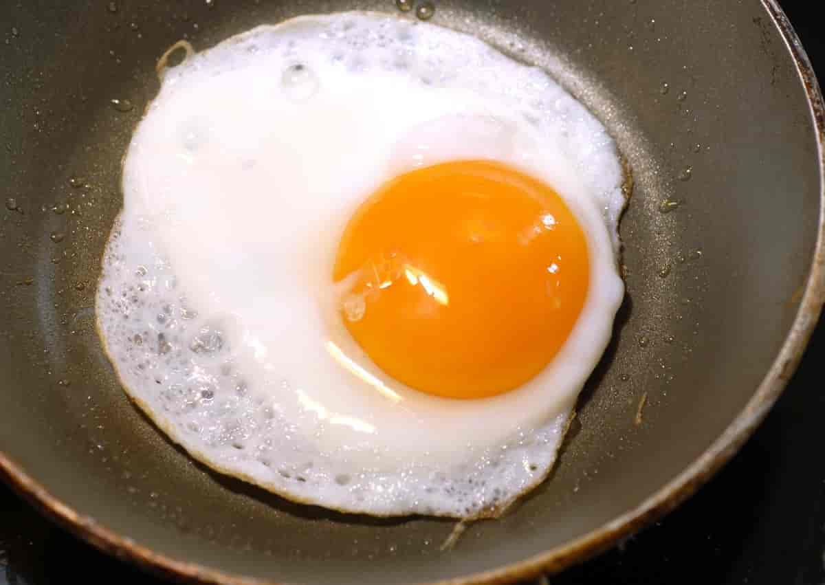 Egg