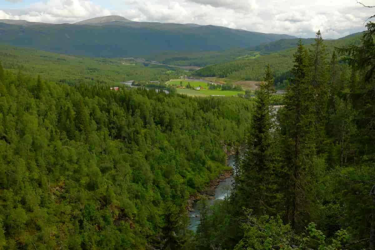 Dunderlandsdalen