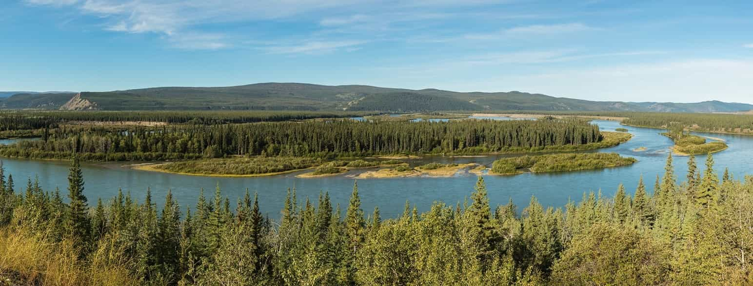 Yukon ved Carmacks, Canada