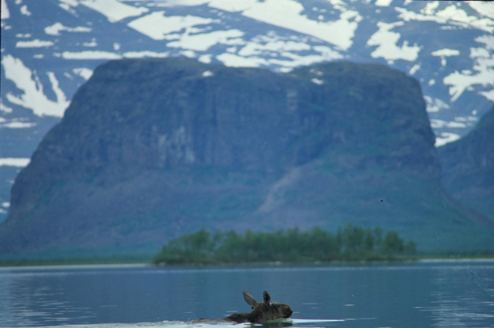 Inngangen til Sarek nasjonalpark