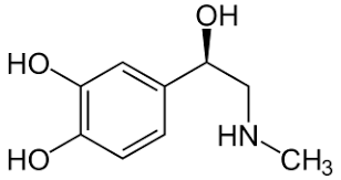 Adrenalinets oppbygning